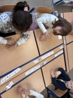 Les apprentissages des Ouistitis